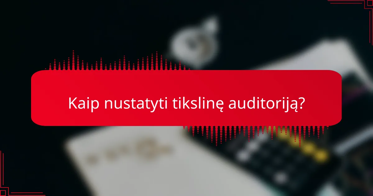Kaip nustatyti tikslinę auditoriją?