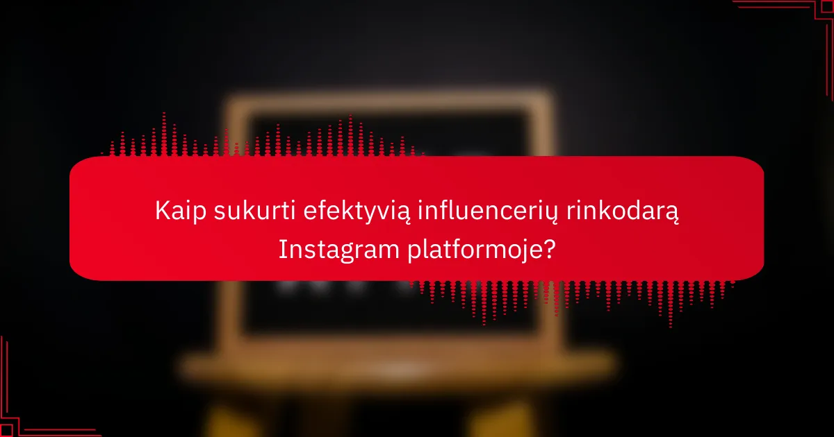 Kaip sukurti efektyvią influencerių rinkodarą Instagram platformoje?