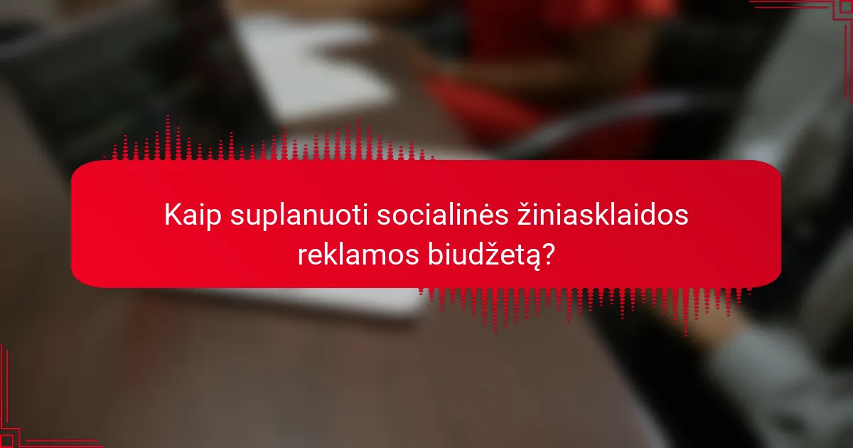 Kaip suplanuoti socialinės žiniasklaidos reklamos biudžetą?