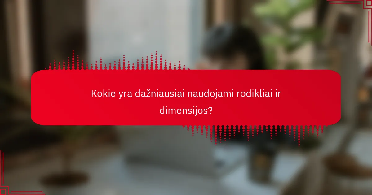 Kokie yra dažniausiai naudojami rodikliai ir dimensijos?