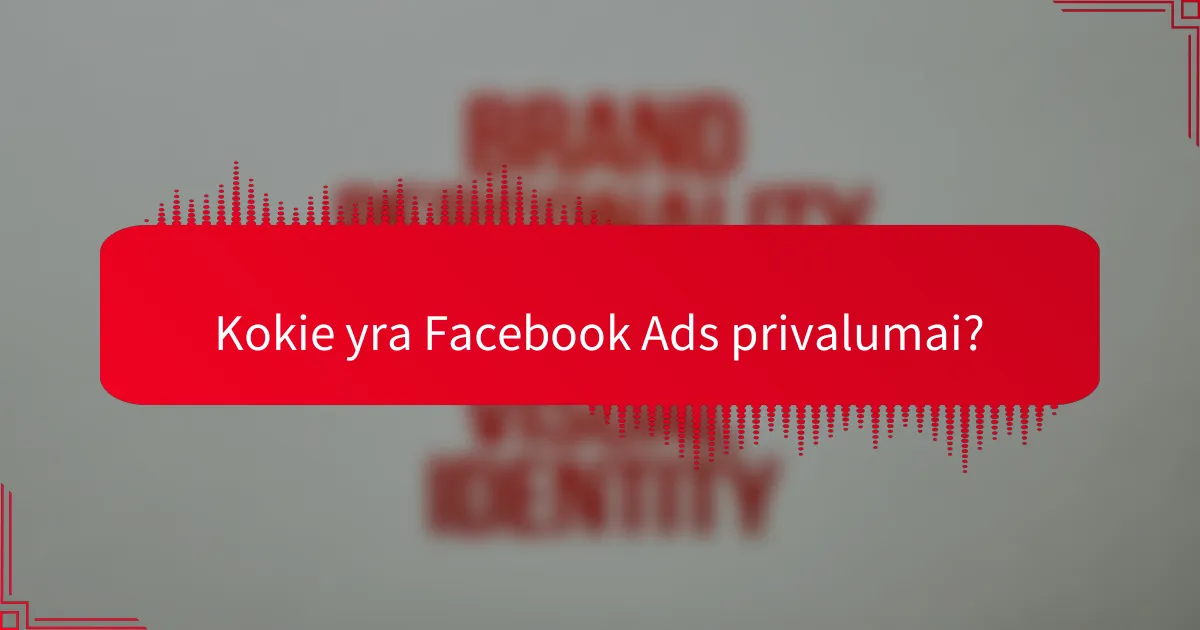 Kokie yra Facebook Ads privalumai?