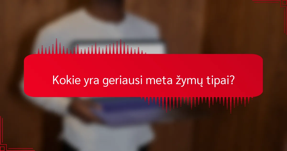 Kokie yra geriausi meta žymų tipai?