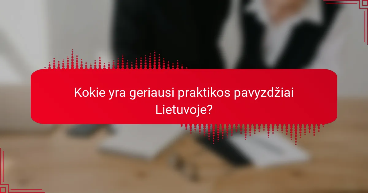 Kokie yra geriausi praktikos pavyzdžiai Lietuvoje?