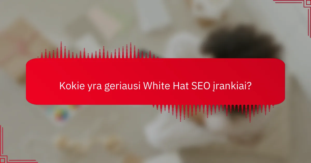 Kokie yra geriausi White Hat SEO įrankiai?