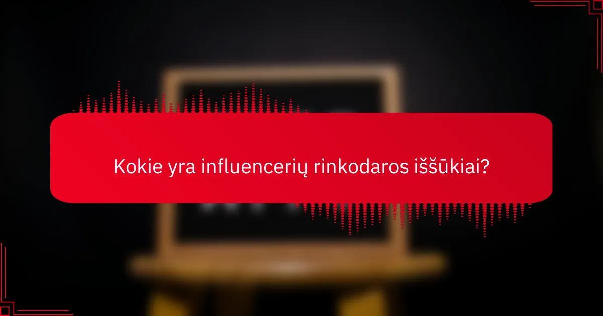 Kokie yra influencerių rinkodaros iššūkiai?