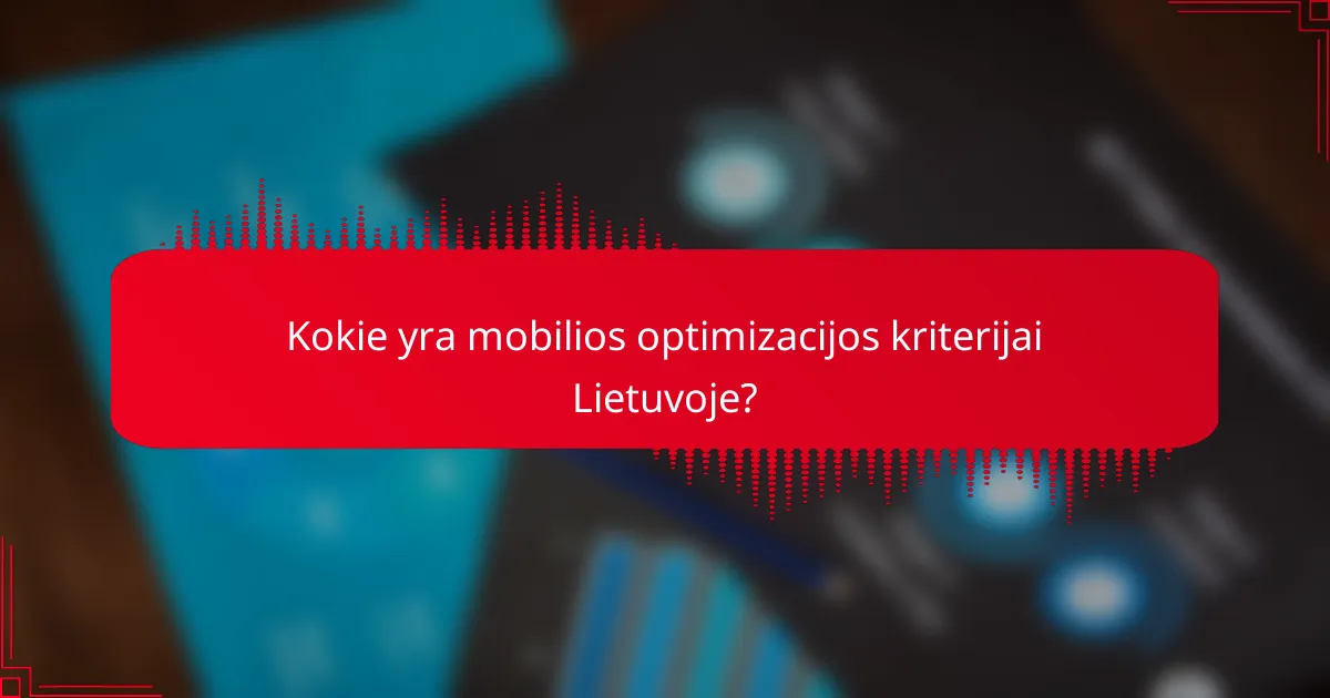 Kokie yra mobilios optimizacijos kriterijai Lietuvoje?