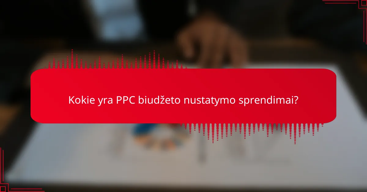 Kokie yra PPC biudžeto nustatymo sprendimai?