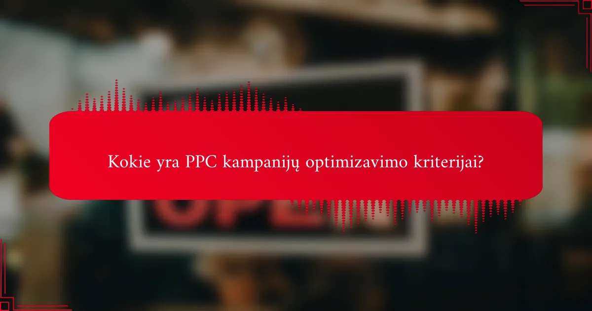 Kokie yra PPC kampanijų optimizavimo kriterijai?