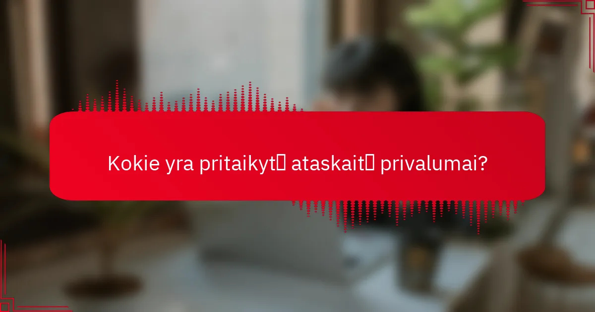 Kokie yra pritaikytų ataskaitų privalumai?