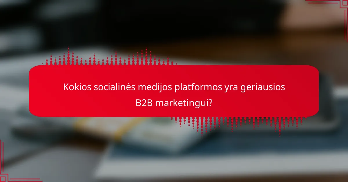 Kokios socialinės medijos platformos yra geriausios B2B marketingui?