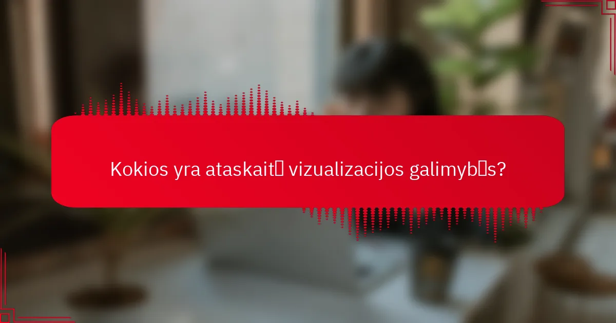 Kokios yra ataskaitų vizualizacijos galimybės?