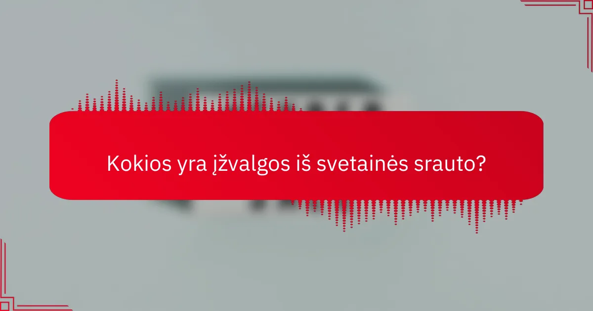 Kokios yra įžvalgos iš svetainės srauto?